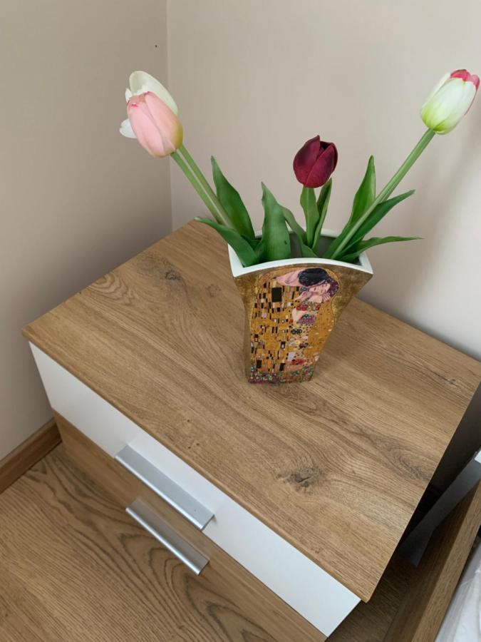 Zsuzsa Apartman Hajdúszoboszló מראה חיצוני תמונה
